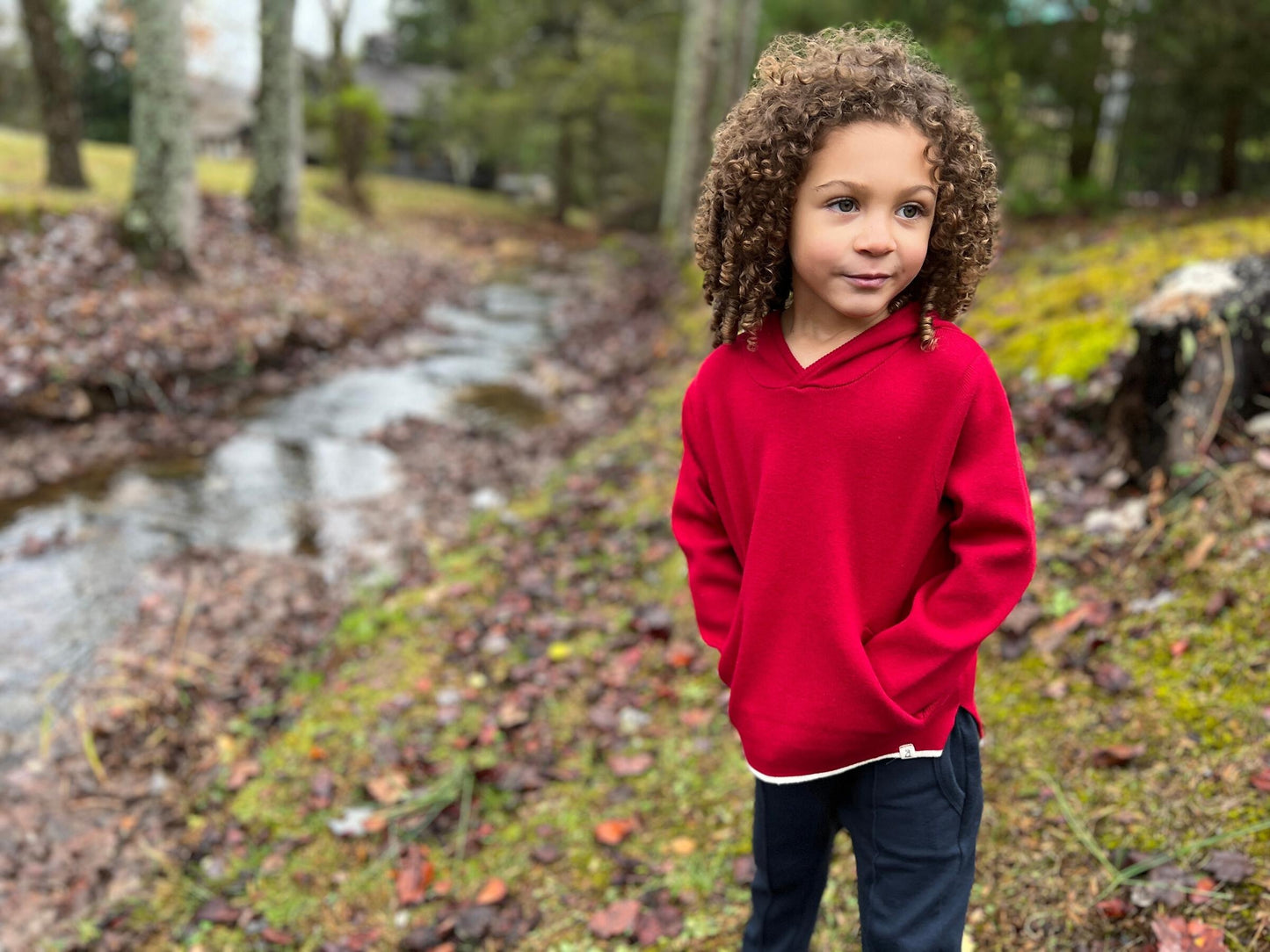 Leiper Hooded Sweater